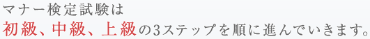 マナー検定試験は初級、中級、上級の3ステップを順に進んでいきます。